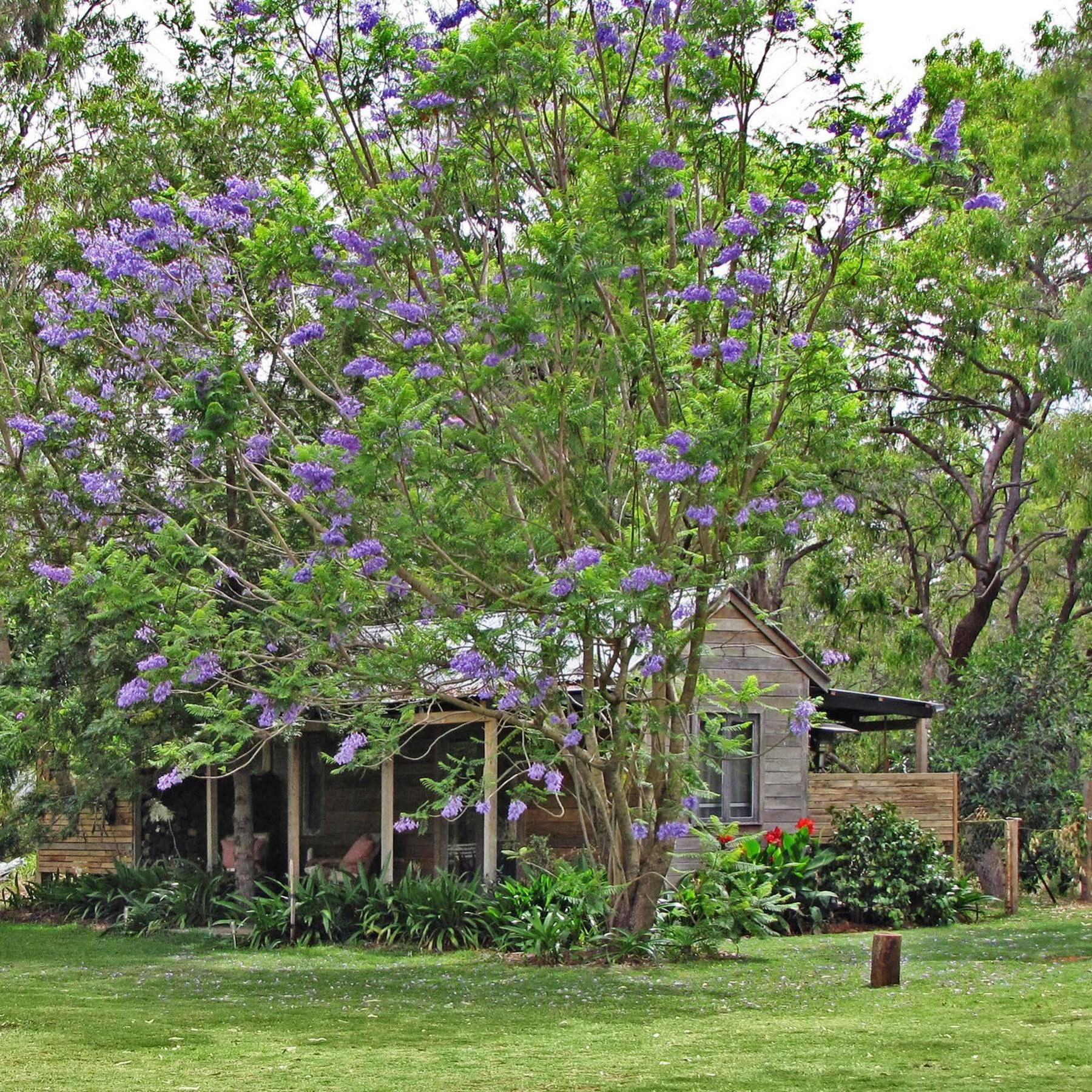 The Laurels Of Chinchilla Hotel Buitenkant foto